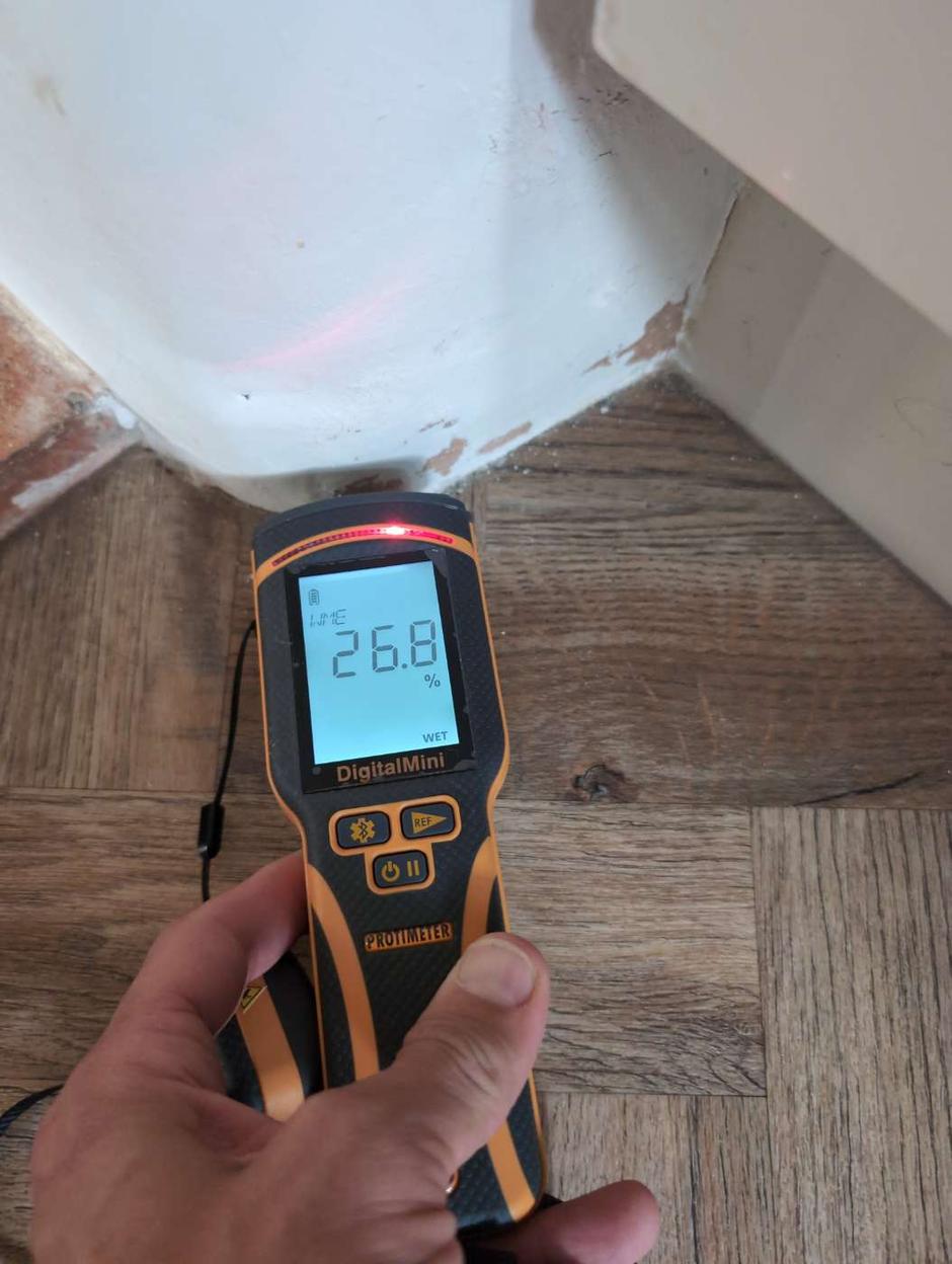 Calibrated Protimeter reading on the wall, recorded in the report.