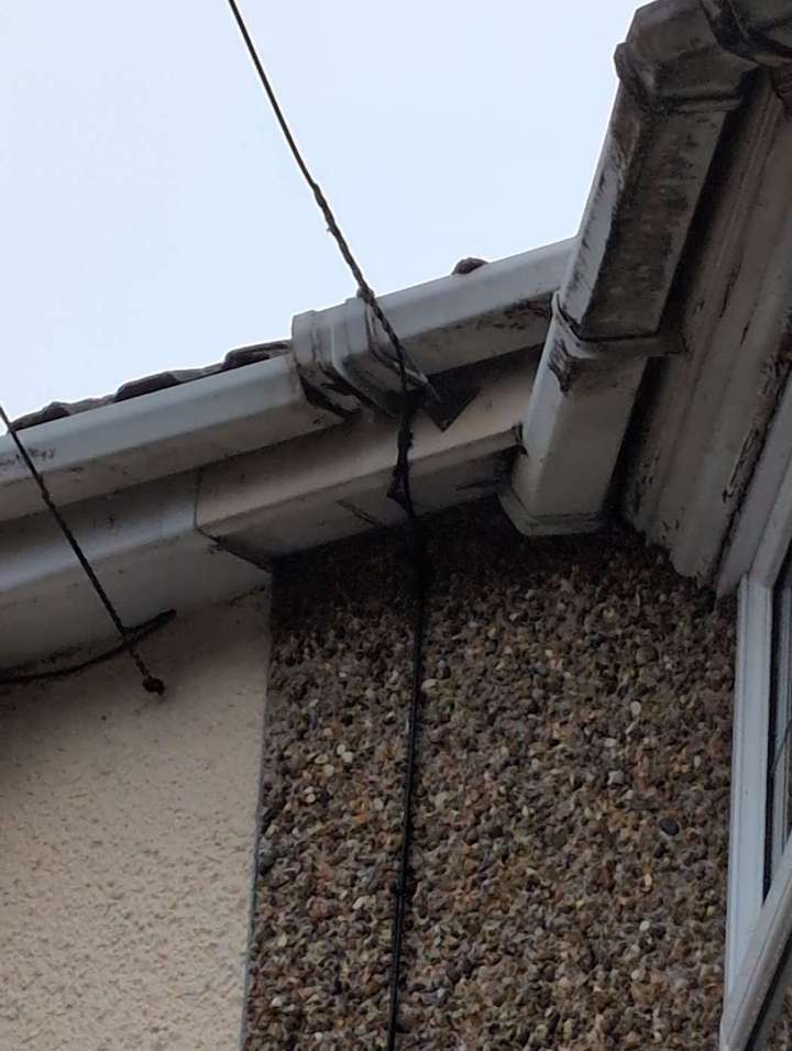 Outside elevations inspected: here a gutter that has come away.